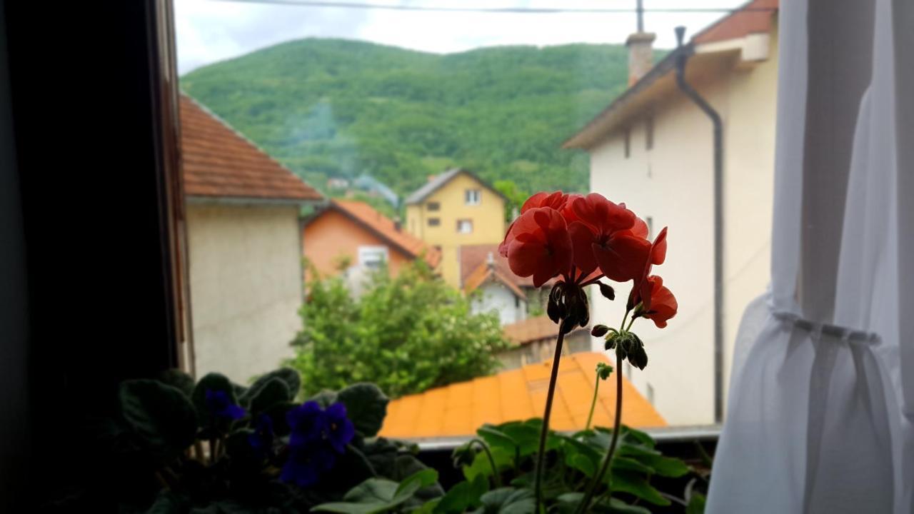 Apartman Jovanovic Bajina Basta Exteriér fotografie